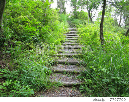 遊歩道 7707700