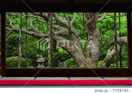 額縁庭園 宝泉院 額縁庭園 宝泉院 7708783