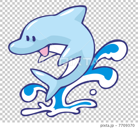 イルカ 7709370