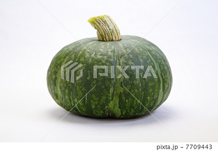 黒皮栗かぼちゃ 7709443