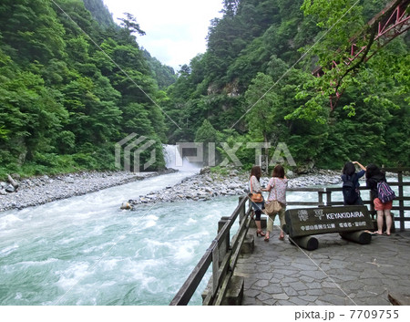 黒部峡谷の欅平の河原展望台（富山県黒部市） 7709755