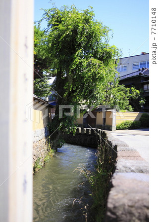 水辺 水辺 7710148