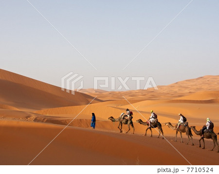 サハラ砂漠 7710524