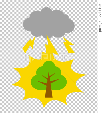 閃電在樹上 7711106