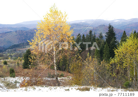 Autumn in Carpathian Mountains 7711189