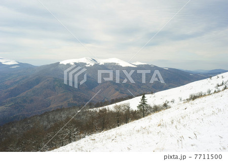 Carpathians mountain in winter 7711500