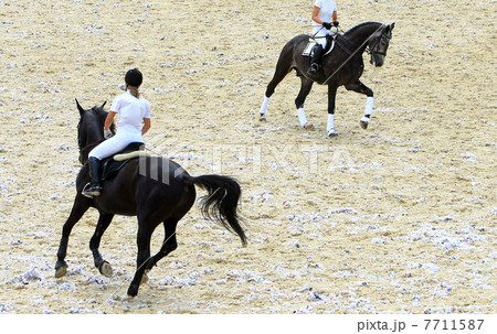 jokey on dressage horse jokey on dressage horse 7711587