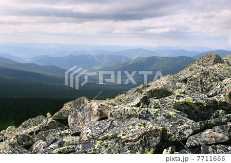 boulders covered in moss 7711666