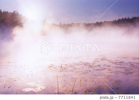 Morning fog on wild forest lake in Karelia Morning fog on wild forest lake in Karelia 7711841