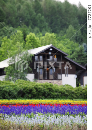 彩りの畑　北海道　富良野 7727201