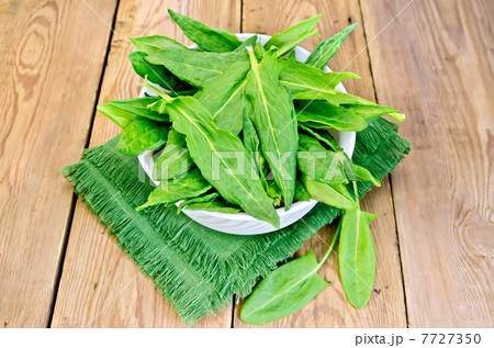 Sorrel in a white bowl Sorrel in a white bowl 7727350