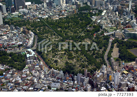 青山霊園 青山霊園 7727393