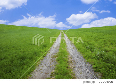 草原と道 7727650