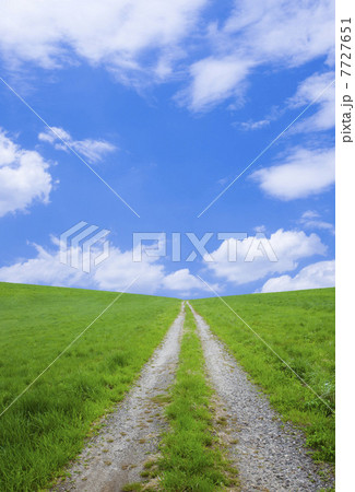 草原と道 7727651