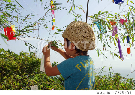 七夕の笹飾りと子供 7729253