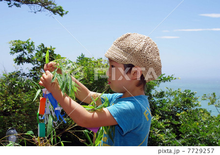 七夕の笹飾りと子供 7729257