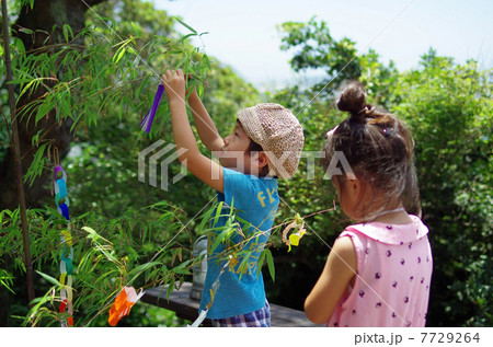 七夕の笹飾りと子供 七夕の笹飾りと子供 7729264