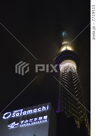 浅草から見る東京スカイツリー 浅草から見る東京スカイツリー 7729515