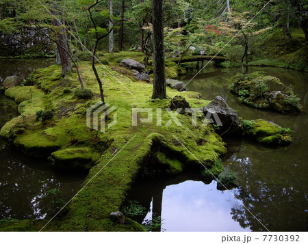 苔寺 苔寺 7730392