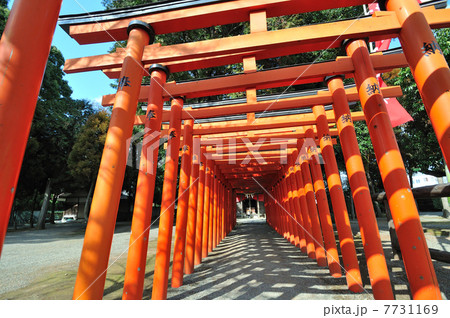 鳥居 7731169