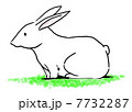 うさぎ 7732287