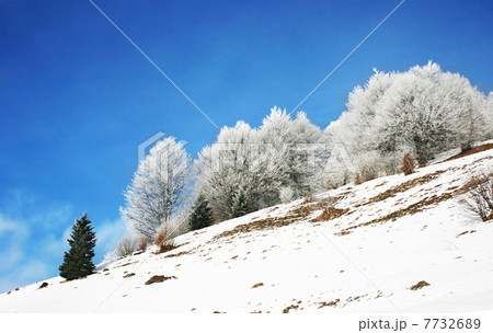 Winter landscape 7732689