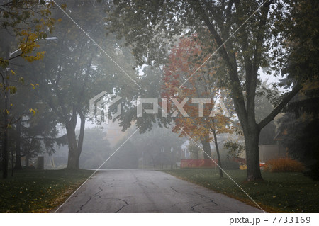 Fall road with trees in fog 7733169