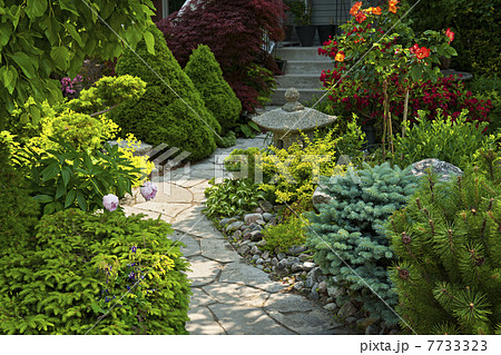 Garden path with stone landscaping 7733323