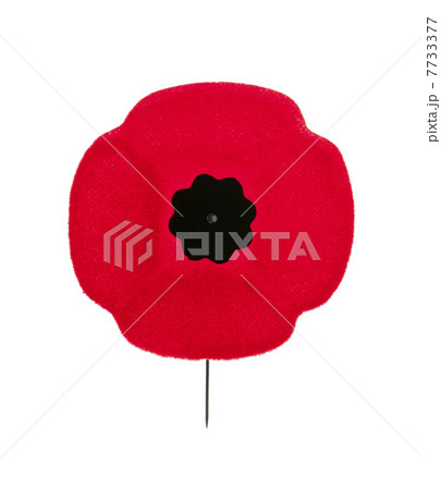 Remembrance Day poppy 7733377