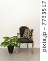 Antique armchair and plant near wall 7733517