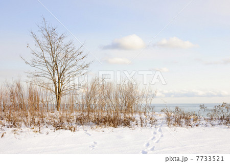 Winter shore of lake Ontario Winter shore of lake Ontario 7733521
