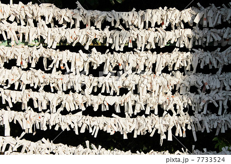 列-おみくじ 列-おみくじ 7733524