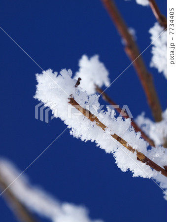 樹氷 7734405