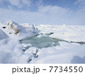 流氷 7734550