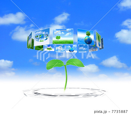 展示されたエコ環境のボードと若葉 展示されたエコ環境のボードと若葉 7735887