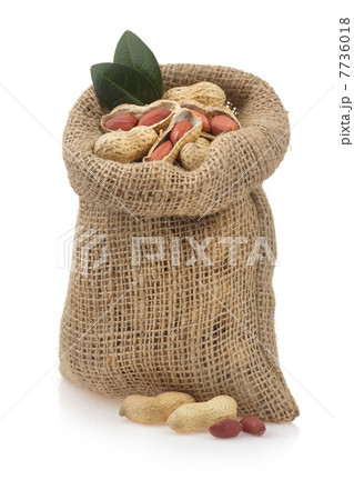 nuts peanuts isolated on white nuts peanuts isolated on white 7736018