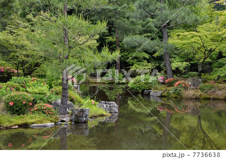 等持院の心字池 等持院の心字池 7736638