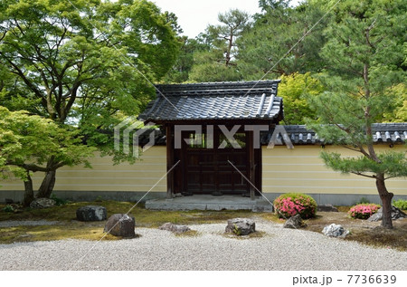 等持院の庭園 等持院の庭園 7736639