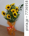 ひまわり 7736958