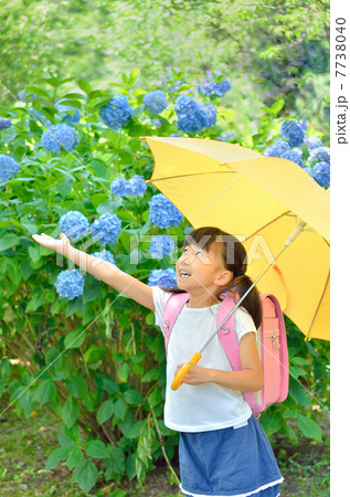 傘をさす小学生の女の子（梅雨） 7738040