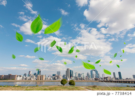 舞い散る葉っぱと大阪のビル群 舞い散る葉っぱと大阪のビル群 7738414