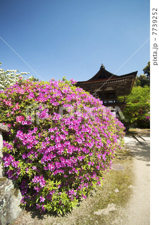 奈良　長岳寺　庭園 7739252