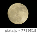 満月 7739518