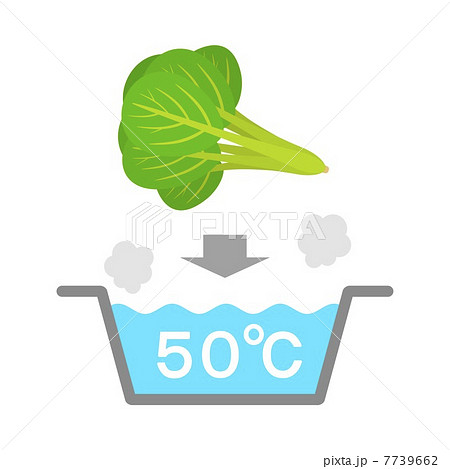 野菜の50 洗いのイラスト素材