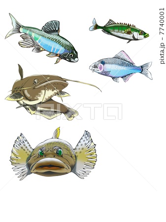 ここからダウンロード 川魚 イラスト