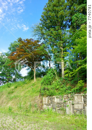 鷹ヶ峯の御土居史跡公園 7740781