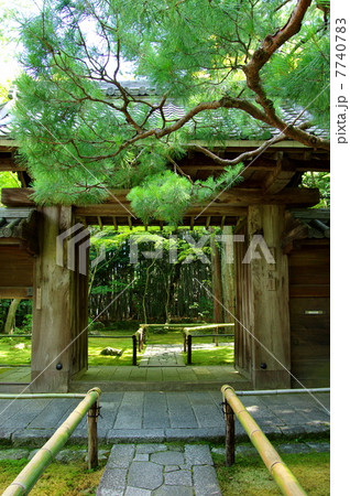高桐院 高桐院 7740783