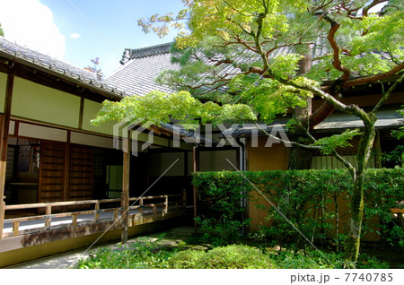 高桐院 高桐院 7740785