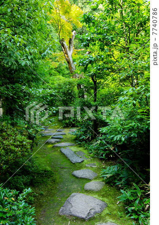 高桐院の庭園 高桐院の庭園 7740786