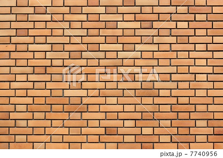 タイル壁 タイル壁 7740956